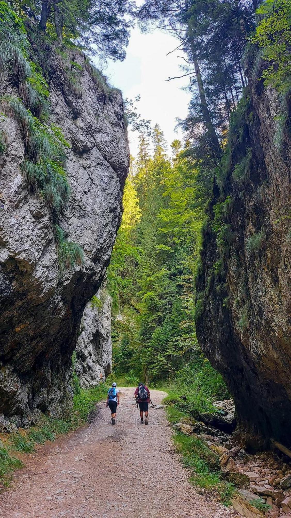 Cazare Zorilor Zărneşti 部屋 写真