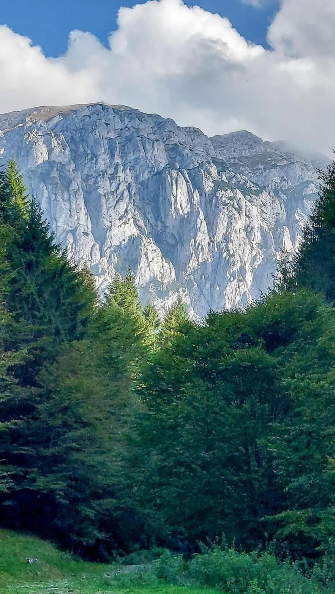 Cazare Zorilor Zărneşti 部屋 写真