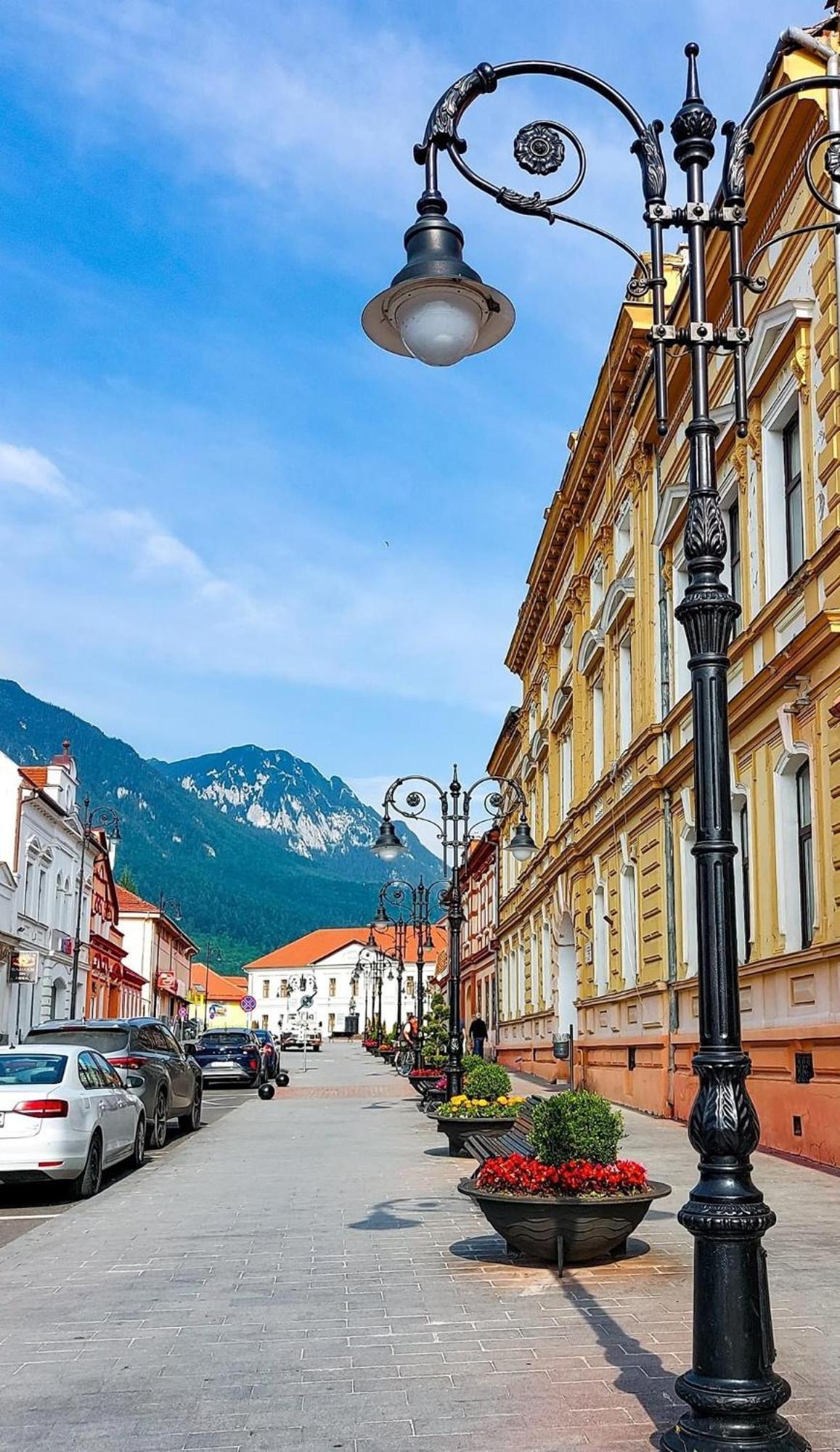 Cazare Zorilor Zărneşti 部屋 写真