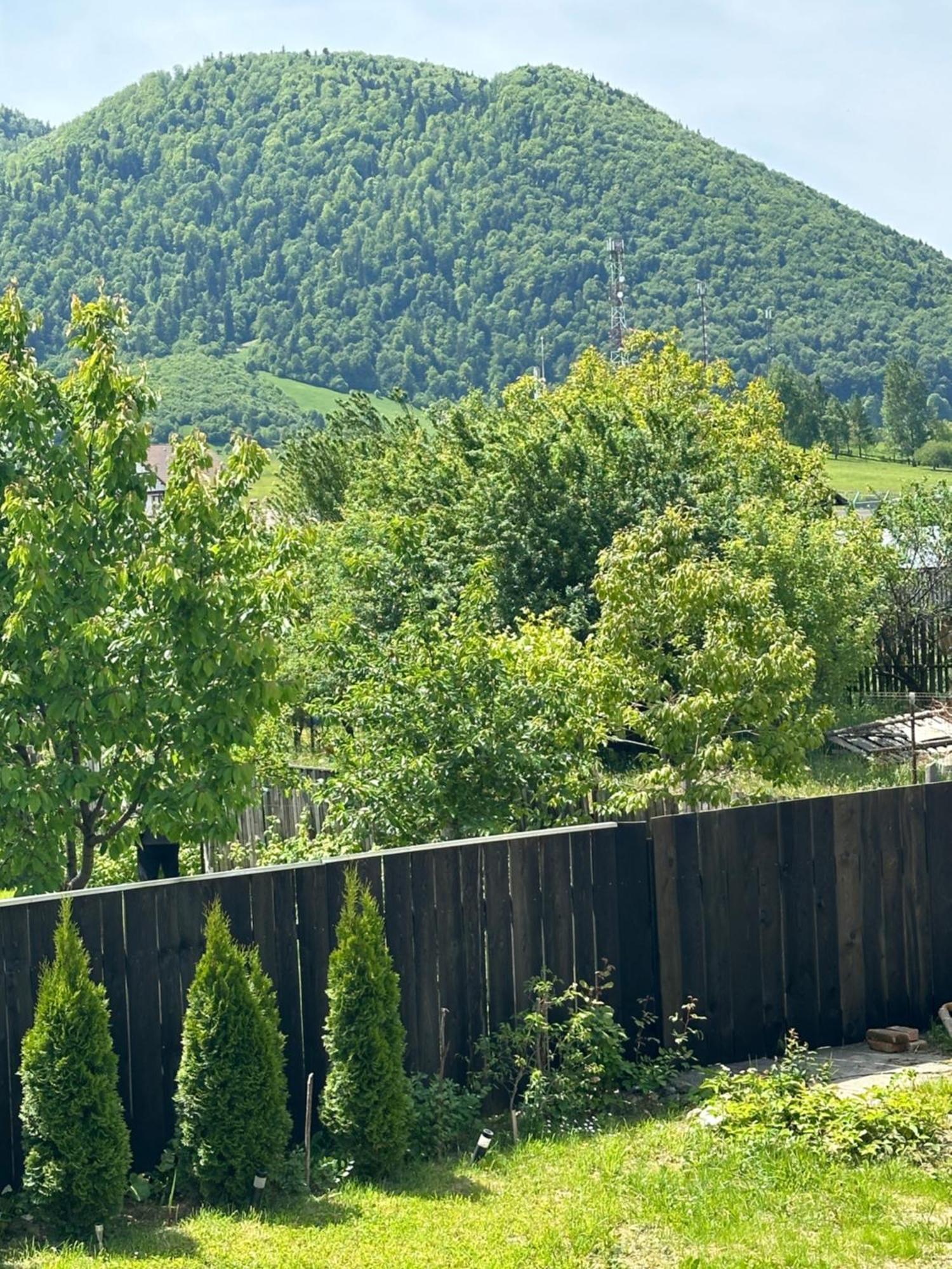 Cazare Zorilor Zărneşti 部屋 写真
