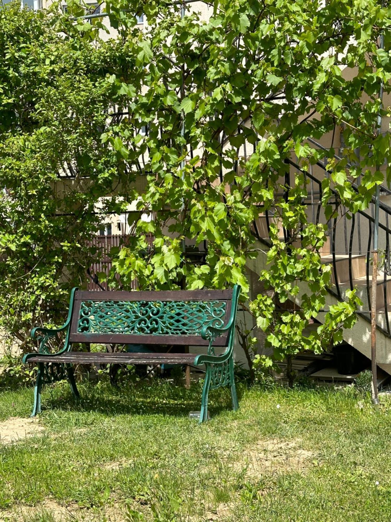 Cazare Zorilor Zărneşti 部屋 写真